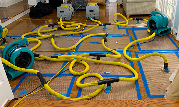 Professional Water Extraction technician working in Waverly, NE